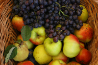 Produse bio românești la ISRAFOOD