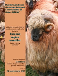 Festivalul „Țurcana, regina munților” - ambiția personală a șefului Asociației Crescătorilor de Ovine „Dacia” - a luat o amploare națională. „Este sută la sută pentru crescători”, Andreșoi