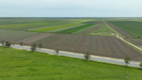 Pesticidele, între necesitate și politicile verzi