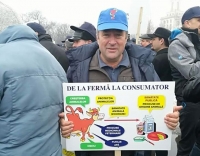 CMVRO, către premierul Dăncilă: „Din anul 2013 până în prezent, tarifele aferente acțiunilor sanitare veterinare contractate cu medicii veterinari de liberă practică au rămas aceleași”