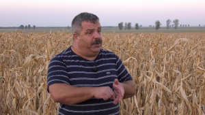 Statistica, politica și agricultura