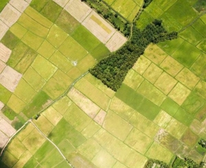 Imagistica ar trebui utilizată pe scară largă în agricultură