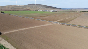Recomandări pentru îmbunătățirea practicilor agronomice în condiții de secetă