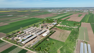 Agricultura României are nevoie de o voce unită și puternică