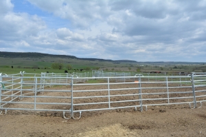 Investiții în abatorizarea din zona montană. AFIR a publicat Ghidul pentru consultare