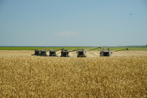 Finanțator al agriculturii românești, Agricover raportează profit în creștere și consolidarea cotei în piața de finanțare, în primele șase luni din 2025