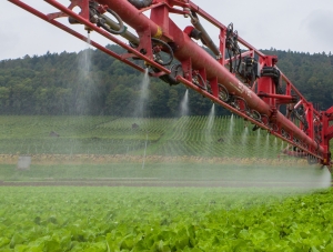 2020, anul sănătății plantelor