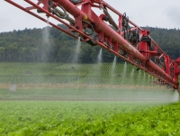 2020, anul sănătății plantelor