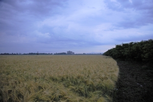 Punct de vedere LAPAR privind Legea vânzării terenurilor