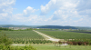 Condiționarea, depozitarea și procesarea produselor agricole și pomicole. AFIR lansează sesiunea de primire a cererilor de finanțare pentru intervenția DR-22