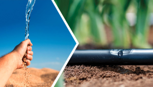 Parteneriat IPSO Agricultură și Metzer România, pentru sisteme de irigații prin picurare