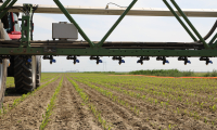 Din cauza prețurilor au scăzut vânzările de pesticide în UE