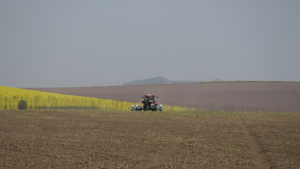 Agricultură la poalele Ceahlăului. A alege ieftin te poate costa mai scump