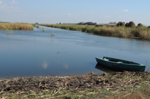 Plafonarea voluntară a plăților directe și pescuitul în UE, pe masa Consiliului AgriFish