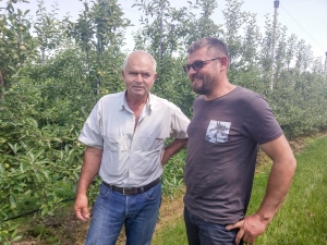 Infuzie de bani europeni într-o livadă îmbătrânită