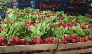 Tot mai mulți producători locali și artizani sunt prezenți pe rafturile Carrefour România