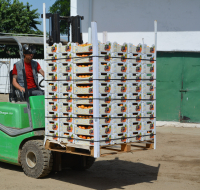 Suplimentare de buget pentru investiții în condiționarea, depozitarea și procesarea produselor agricole și pomicole