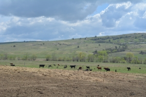 Flexibilitate și sprijin financiar pentru întreaga industrie agroalimentară