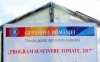Legumicultorii buzoieni vor ieși pe piață cu tomate „în luna mai” a acestui an, (Florea, DAJ Buzău)