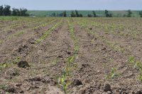UE trebuie să-și întoarcă fața către spațiul rural și agricultură. Scrisoarea deschisă a Copa-Cogeca