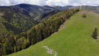 ANZM a demarat procedura pentru constituirea Consiliului Național al Muntelui