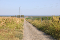 Un milion de euro pe proiect pentru drumurile agricole de acces