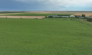 Program pentru susținerea tinerilor antreprenori din agribusiness