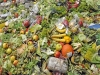 Legea risipei alimentare, prorogată până la finele anului. „Măsurile prevăzute în scopul diminuării risipei alimentare nu sunt în acord cu realitatea din România și nu au caracter imperativ clar”