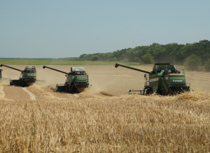 Uniunea Europeană a majorat tarifele pentru cerealele din Rusia și Belarus