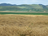 20 milioane de euro de la EFSE pentru finanțarea fermierilor români, bani accesați de Agricover Credit IFN