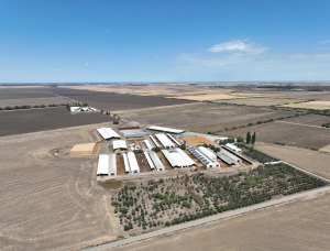 Agricultura românească, expusă în continuare presiunilor generate de costurile ridicate, inflație și accesul la finanțare