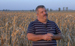 Poveștile „bruxelleze” în agricultură. Azi, despre agricultura ecologică