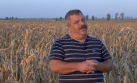 Poveștile „bruxelleze” în agricultură. Azi, despre agricultura ecologică