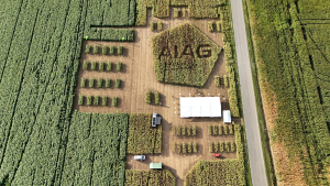Fenomenele meteo cresc presiunea asupra agriculturii