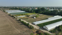 Investițiile în sectorul legume și cartofi, finanțate prin AFIR în această toamnă
