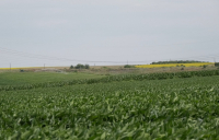 Fermierii nu au nevoie de noi costuri! O strategie trebuie să protejeze deopotrivă biodiversitatea și viitorul agriculturii românești