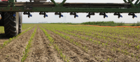 Prelungirea perioadei de punere în aplicare a măsurilor referitoare la utilizarea produselor de protecție a plantelor, votată în COM AGRI