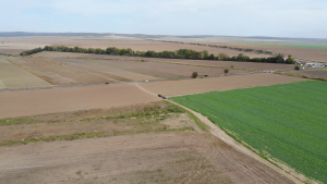 Până la 20 aprilie 2021, cooperativele agricole trebuie să-și actualizeze actele constitutive