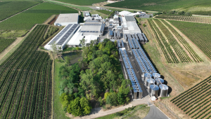 Sectorul vitivinicol, pilon al economiei rurale. Producția de vin a României în 2025 este în jur de 4 milioane hectolitri