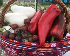 „Bunătăți locale”, o nouă cooperativă agricolă