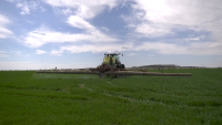 Reducerea soluțiilor de protecție a plantelor pune sub semnul întrebării investițiile în ferme