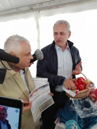 Prelungirea termenului privind sprijinul financiar pentru producătorii de tomate. „Cultivatorii care nu au reușit până la 1 iunie să iasă cu roșiile pe piață mai au o șansă”