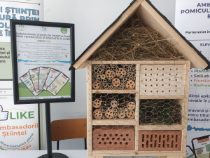 Hoteluri de insecte. Cum învață liceenii din București și Ilfov despre importanța biodiversității agroecosistemelor