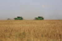 Cereale: producție, consum și stocuri la nivel mondial