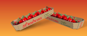 Ambalajele sustenabile din carton ondulat fac diferența în piață pentru Serele SupeR din Timiș