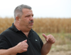 Ursul(a), dușmanul agriculturii europene