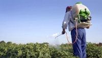 Lucrați cu pesticide? S-a schimbat legislația! Au fost redefiniți și actualizați indicatorii de risc