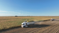 UE - Ucraina, parteneriat pentru autonomie în comerțul agroalimentar