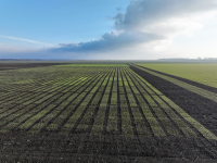 Campania 2026: În două săptămâni s-au depus 116.482 cereri de plată pentru 432.739,65 ha