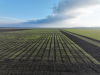 Campania 2026: În două săptămâni s-au depus 116.482 cereri de plată pentru 432.739,65 ha